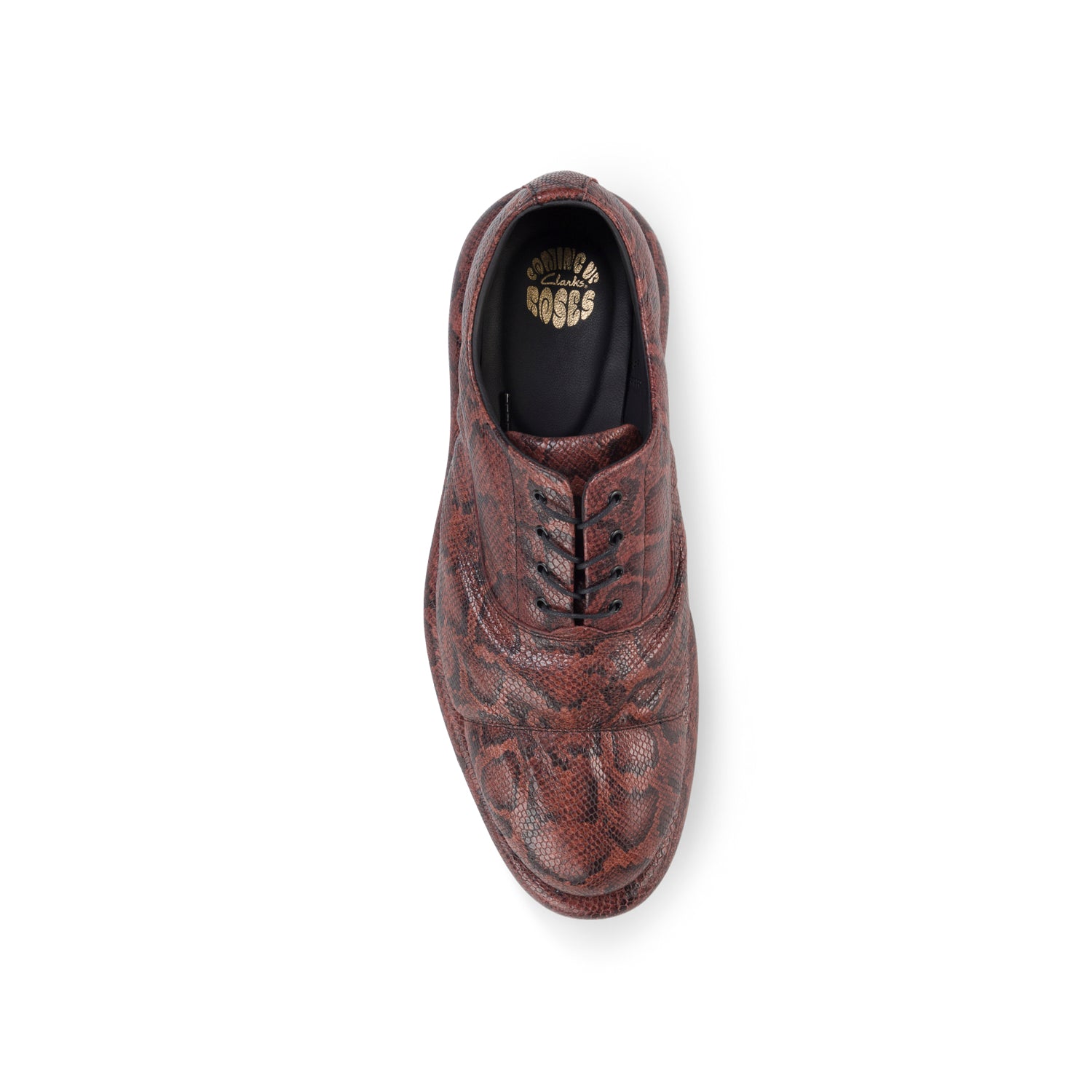 MARTINE ROSE FOR CLARKS MENS OXFORD in BROWN SNAKE | Martine Rose